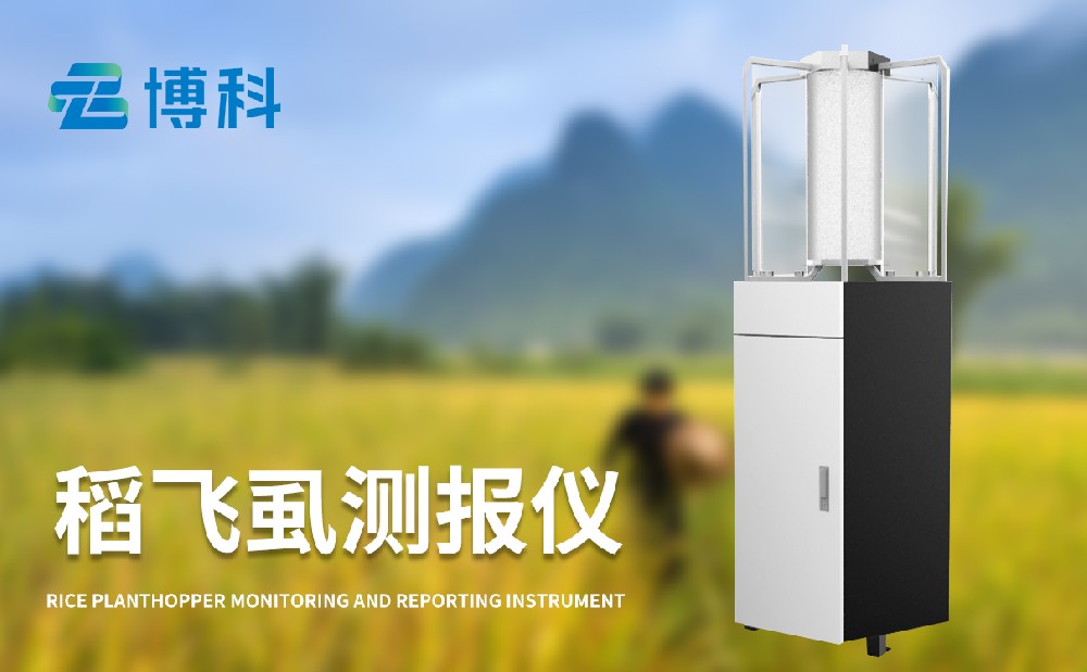 稻飛虱在線測(cè)報(bào)儀的使用提升水稻蟲害治理能力