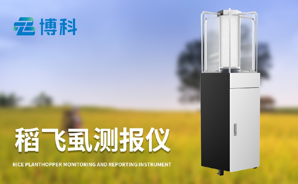 稻飛虱測(cè)報(bào)儀對(duì)水稻病蟲(chóng)害治理的幫助